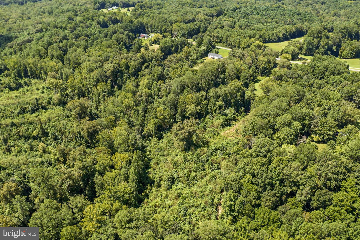 DOGWOOD LN, KING GEORGE, Virginia 22485, ,Land,For sale,DOGWOOD LN,VAKG2006932 MLS # VAKG2006932