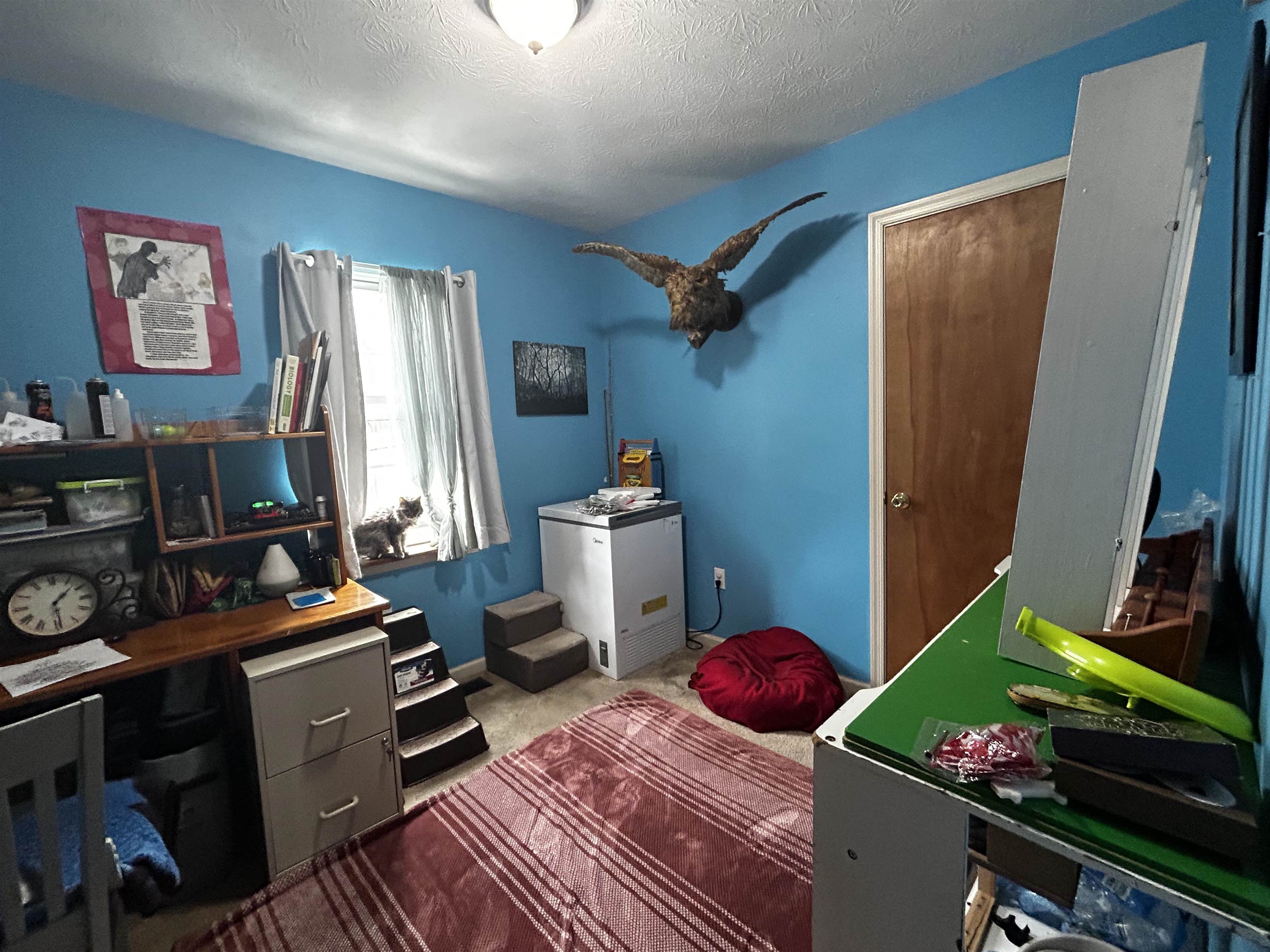 1032 4TH ST, WAYNESBORO, Virginia 22980, 3 Bedrooms Bedrooms, ,2 BathroomsBathrooms,Residential,BLOCK 137 LOT A BCMM&L,1032 4TH ST,668215 MLS # 668215