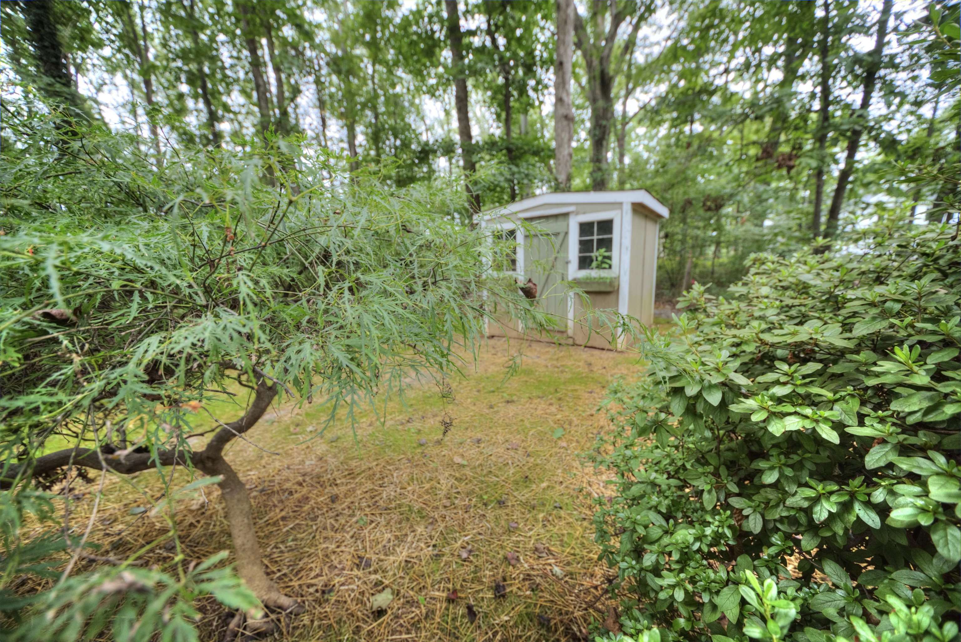 5547 BROOKWOOD RD, CROZET, Virginia 22932, 4 Bedrooms Bedrooms, ,1 BathroomBathrooms,Residential,5547 BROOKWOOD RD,668251 MLS # 668251