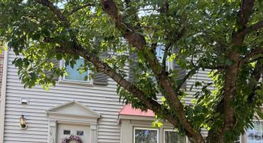 14237 HERITAGE CROSSING LN, CENTREVILLE, Virginia 20120, 3 Bedrooms Bedrooms, ,3 BathroomsBathrooms,Residential,For sale,14237 HERITAGE CROSSING LN,VAFX2261212 MLS # VAFX2261212