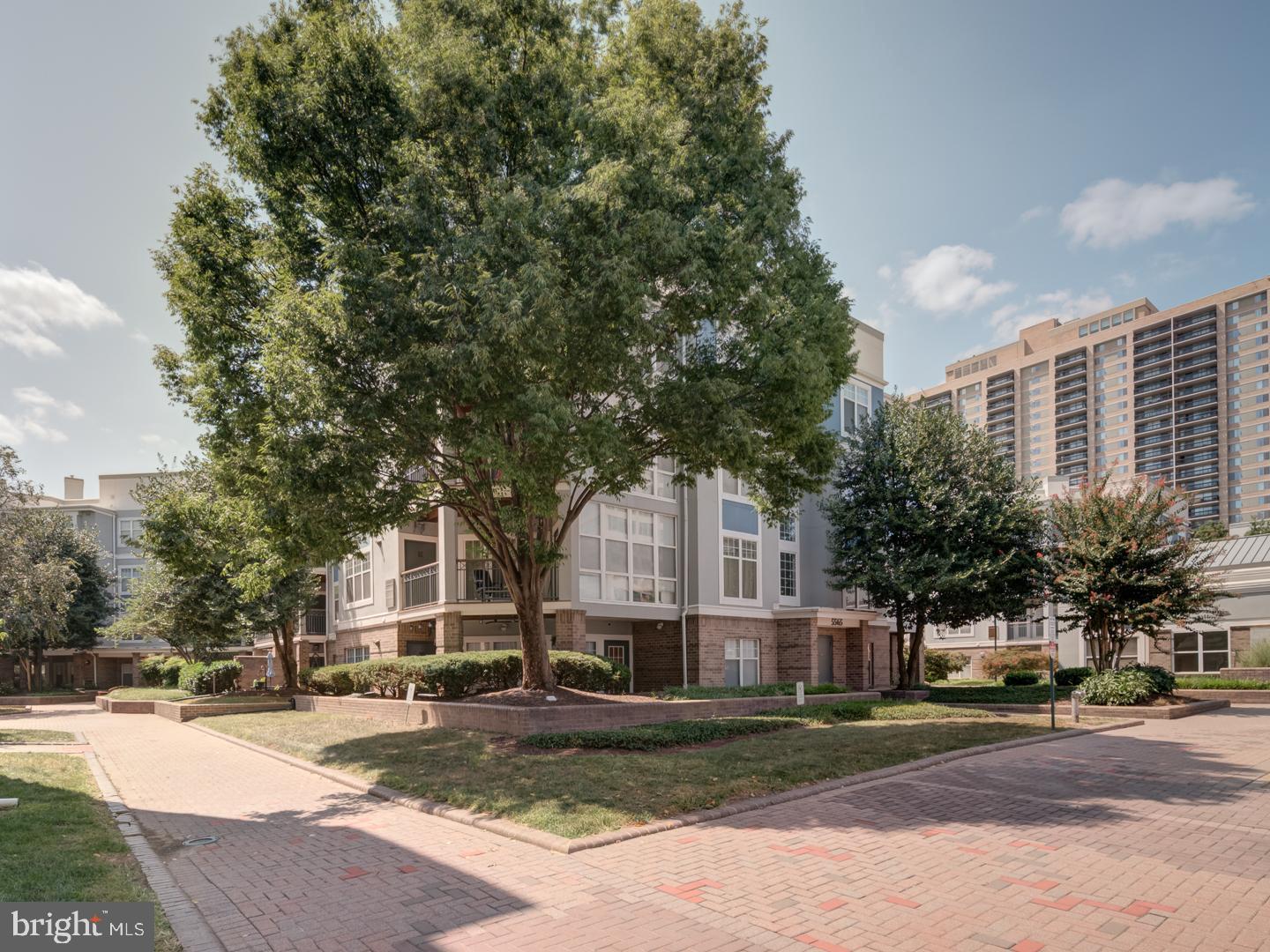 5565 SEMINARY RD #214, FALLS CHURCH, Virginia 22041, 1 Bedroom Bedrooms, ,1 BathroomBathrooms,Residential,For sale,5565 SEMINARY RD #214,VAFX2261980 MLS # VAFX2261980