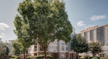 5565 SEMINARY RD #214, FALLS CHURCH, Virginia 22041, 1 Bedroom Bedrooms, ,1 BathroomBathrooms,Residential,For sale,5565 SEMINARY RD #214,VAFX2261980 MLS # VAFX2261980