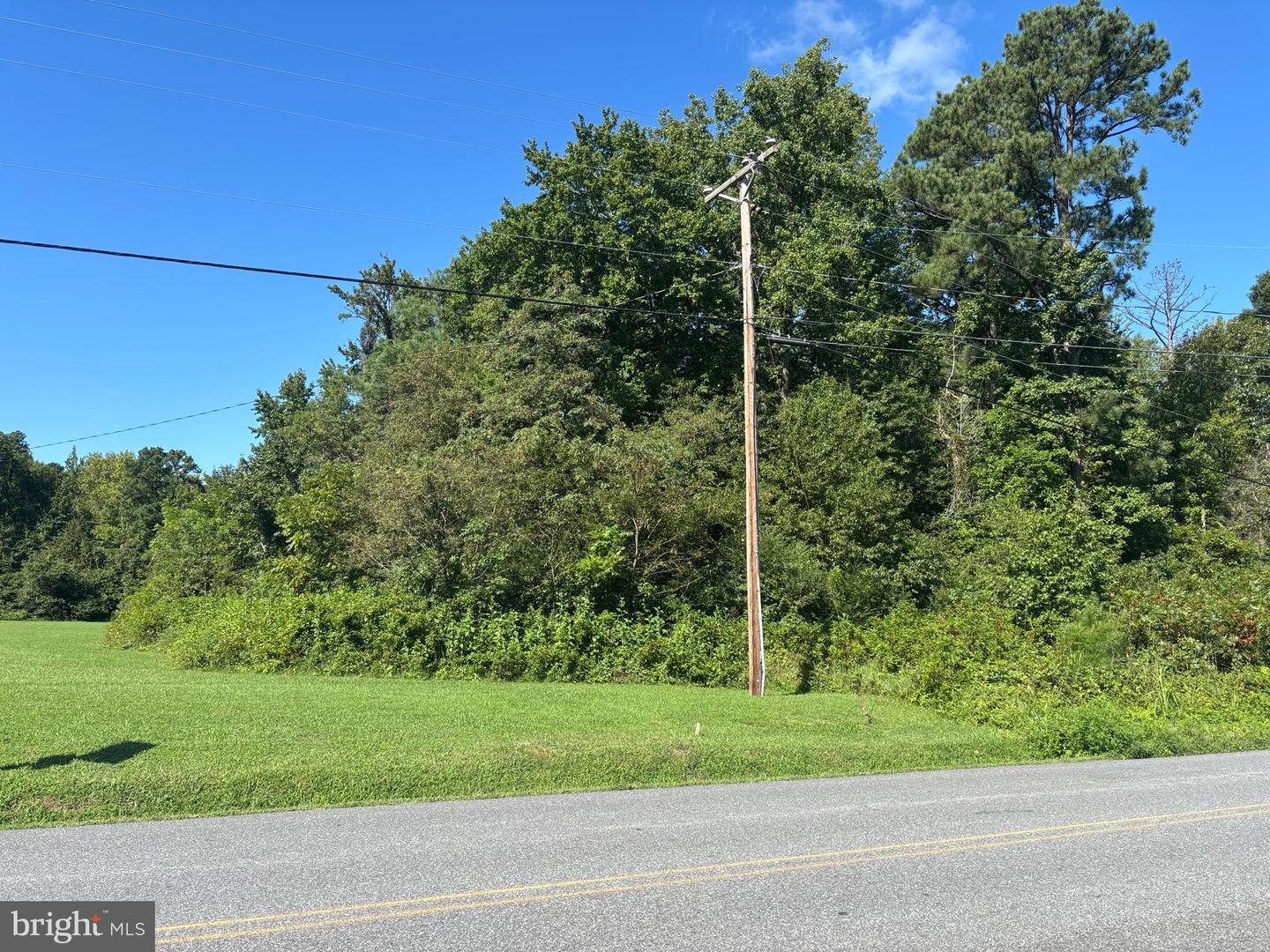 STONEY KNOLL, COLONIAL BEACH, Virginia 22443, ,Land,For sale,STONEY KNOLL,VAWE2009632 MLS # VAWE2009632