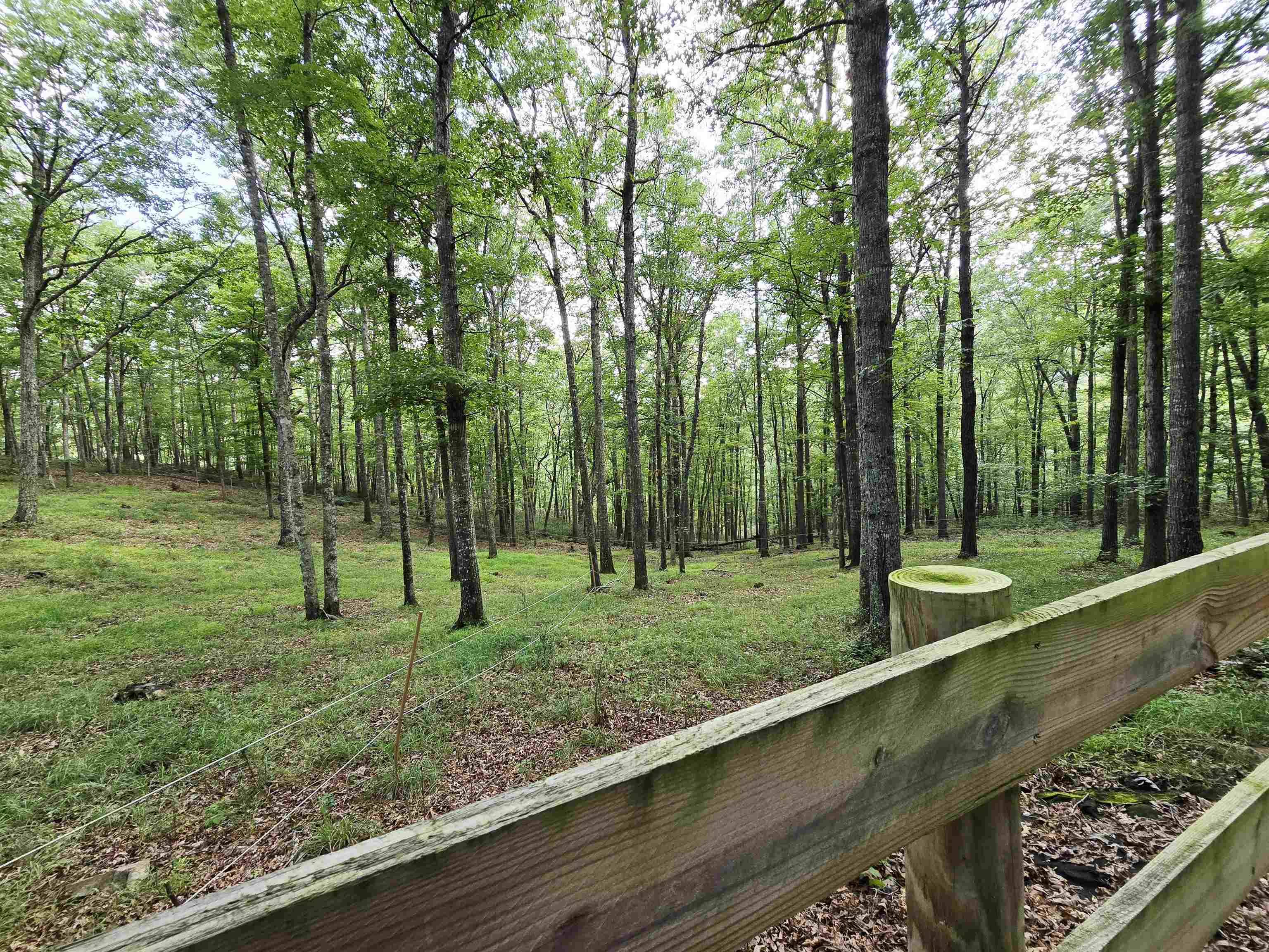 227 DOGWOOD LN, MONTEREY, Virginia 24465, 2 Bedrooms Bedrooms, ,2 BathroomsBathrooms,Residential,227 DOGWOOD LN,668252 MLS # 668252