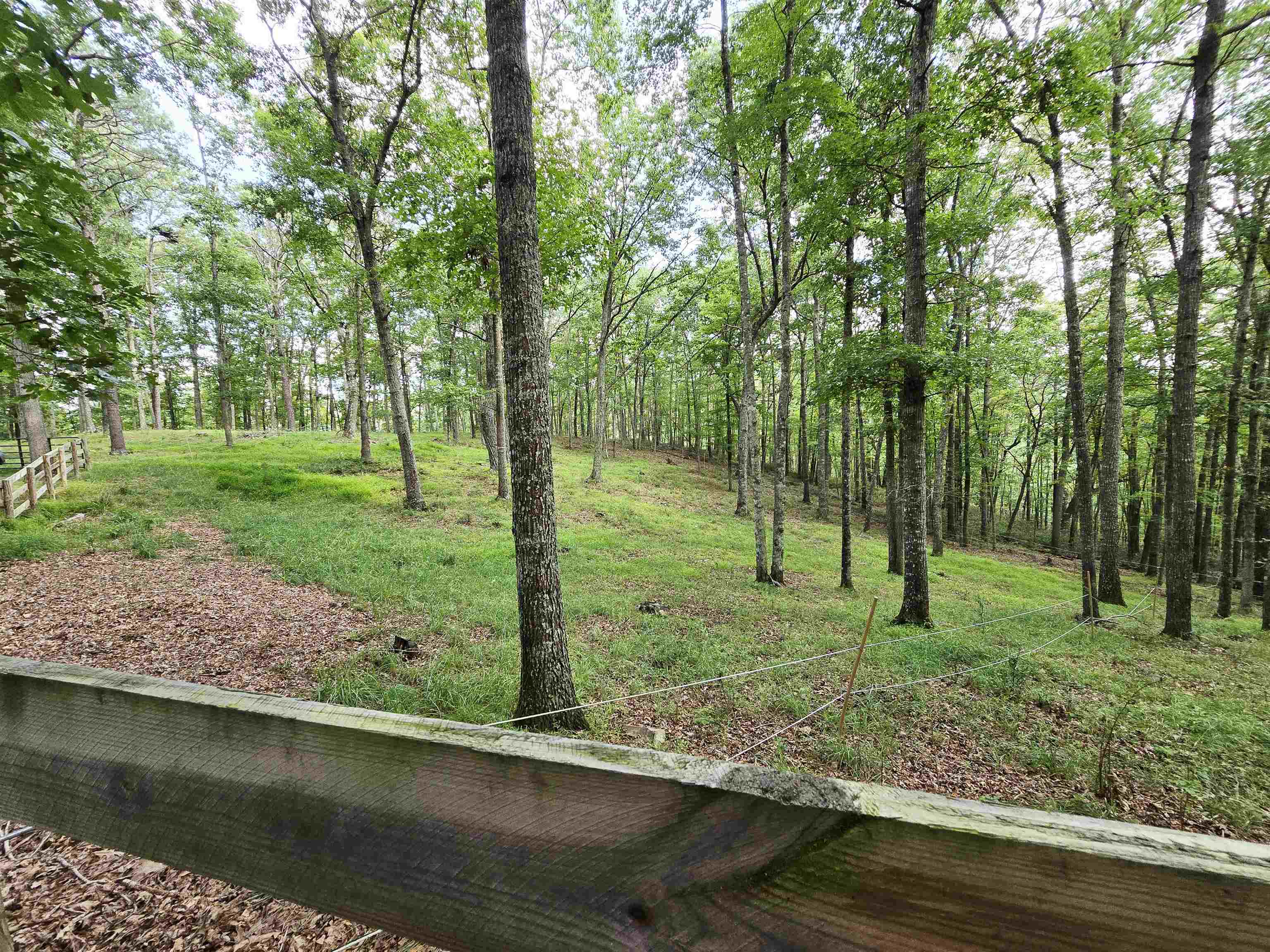 227 DOGWOOD LN, MONTEREY, Virginia 24465, 2 Bedrooms Bedrooms, ,2 BathroomsBathrooms,Residential,227 DOGWOOD LN,668252 MLS # 668252