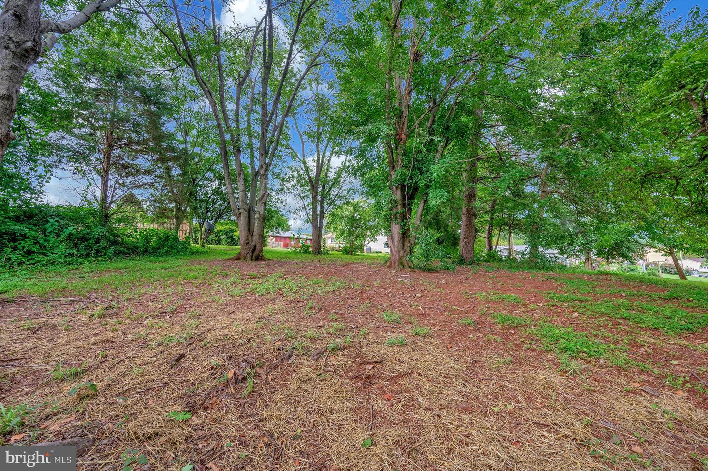 325 ELMWOOD DR, CULPEPER, Virginia 22701, 3 Bedrooms Bedrooms, ,2 BathroomsBathrooms,Residential,For sale,325 ELMWOOD DR,VACU2011380 MLS # VACU2011380