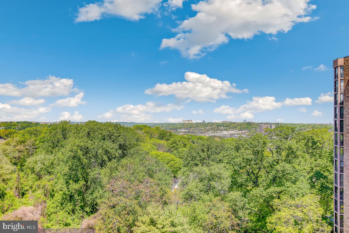 5901 MOUNT EAGLE DR #1117, ALEXANDRIA, Virginia 22303, 1 Bedroom Bedrooms, 6 Rooms Rooms,1 BathroomBathrooms,Residential,For sale,5901 MOUNT EAGLE DR #1117,VAFX2263224 MLS # VAFX2263224