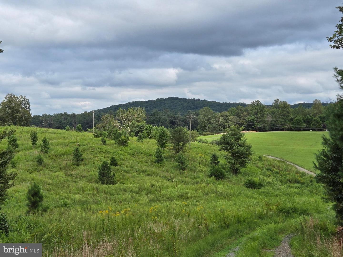 0 WEAVER HOLLOW RD, BANCO, Virginia 22711, ,Land,For sale,0 WEAVER HOLLOW RD,VAMA2002400 MLS # VAMA2002400