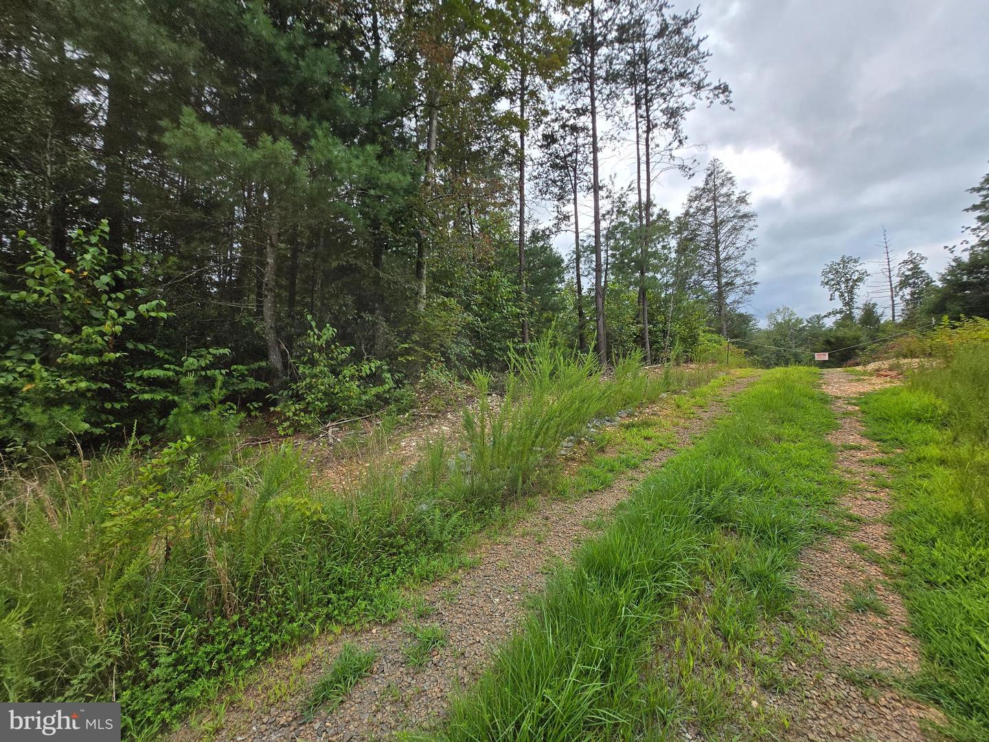 0 WEAVER HOLLOW RD, BANCO, Virginia 22711, ,Land,For sale,0 WEAVER HOLLOW RD,VAMA2002400 MLS # VAMA2002400
