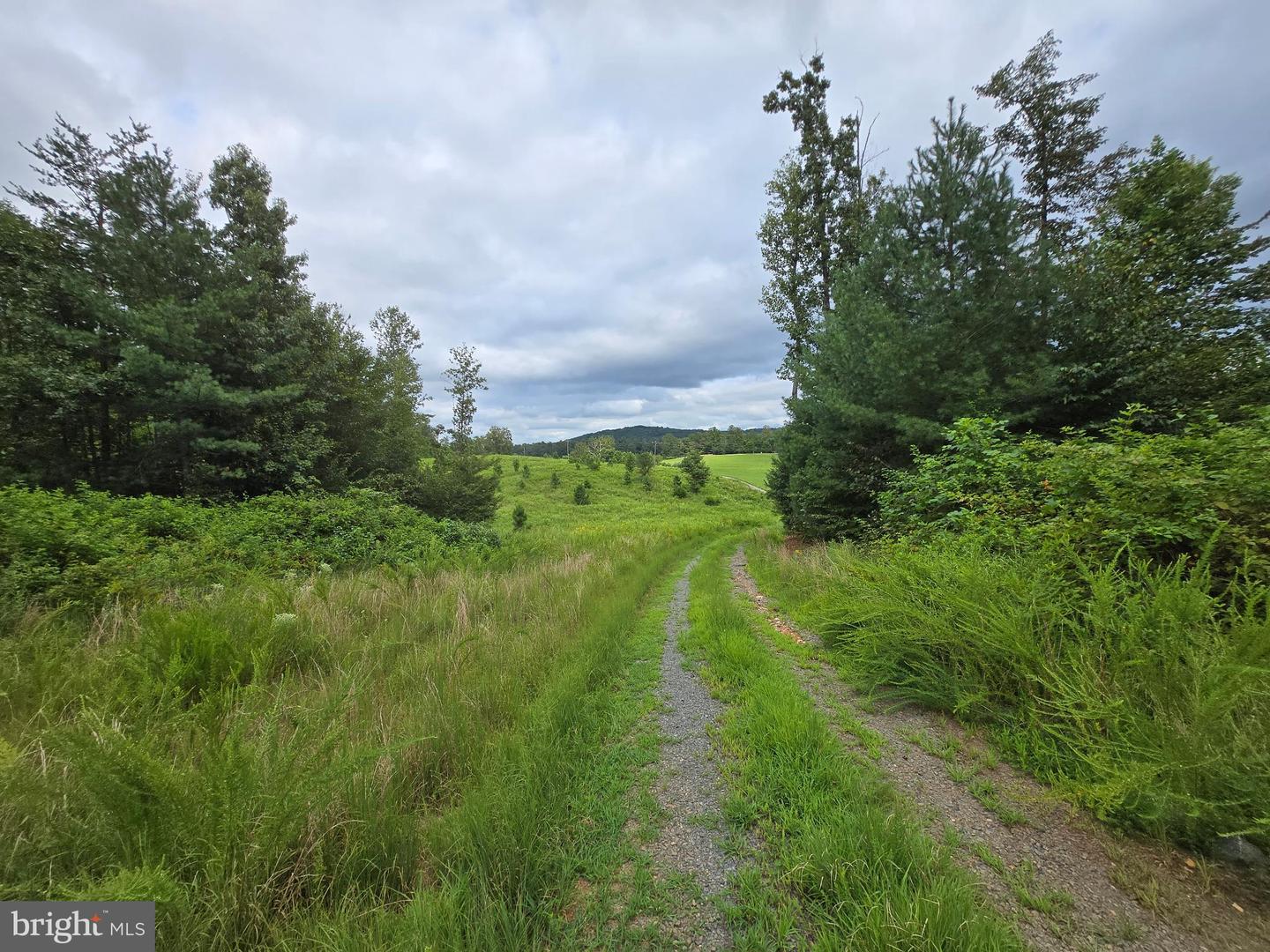 0 WEAVER HOLLOW RD, BANCO, Virginia 22711, ,Land,For sale,0 WEAVER HOLLOW RD,VAMA2002400 MLS # VAMA2002400