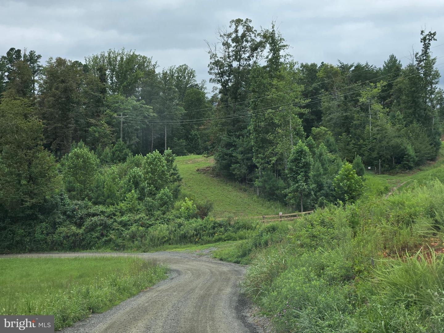 0 WEAVER HOLLOW RD, BANCO, Virginia 22711, ,Land,For sale,0 WEAVER HOLLOW RD,VAMA2002400 MLS # VAMA2002400