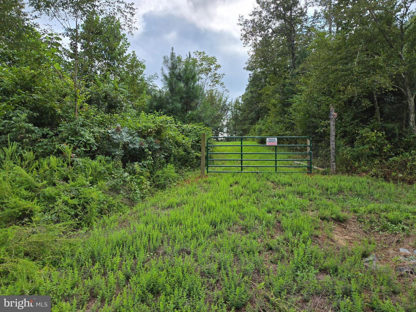 0 WEAVER HOLLOW RD, BANCO, Virginia 22711, ,Land,For sale,0 WEAVER HOLLOW RD,VAMA2002400 MLS # VAMA2002400