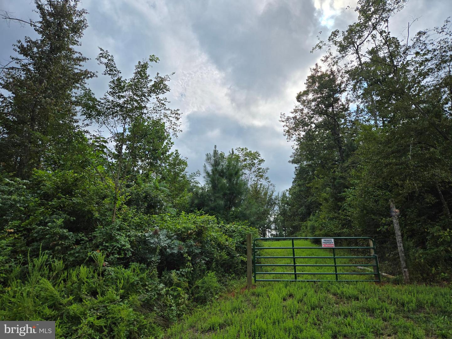 0 WEAVER HOLLOW RD, BANCO, Virginia 22711, ,Land,For sale,0 WEAVER HOLLOW RD,VAMA2002400 MLS # VAMA2002400