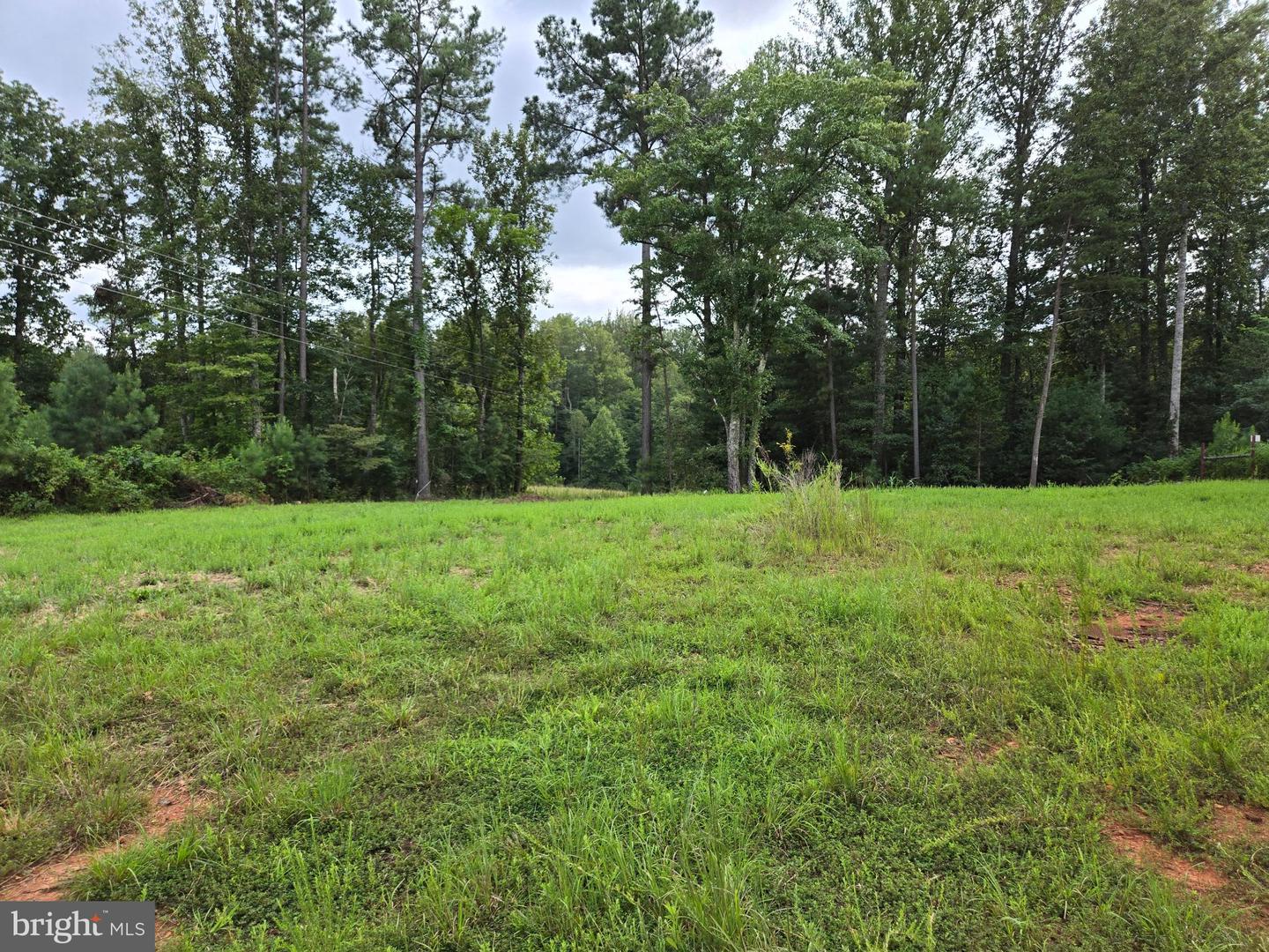 0 WEAVER HOLLOW RD, BANCO, Virginia 22711, ,Land,For sale,0 WEAVER HOLLOW RD,VAMA2002400 MLS # VAMA2002400