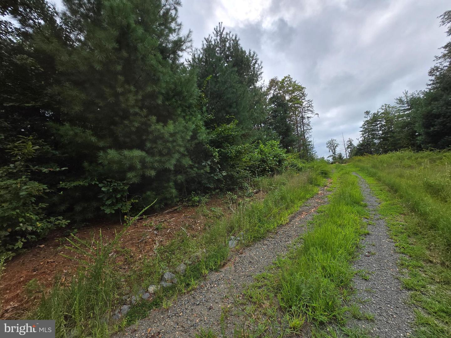 0 WEAVER HOLLOW RD, BANCO, Virginia 22711, ,Land,For sale,0 WEAVER HOLLOW RD,VAMA2002400 MLS # VAMA2002400