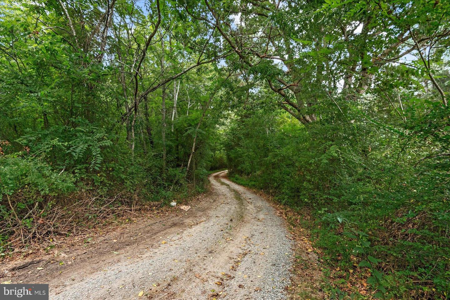 20105 SPARTA RD, MILFORD, Virginia 22514, 3 Bedrooms Bedrooms, 5 Rooms Rooms,2 BathroomsBathrooms,Residential,For sale,20105 SPARTA RD,VACV2008682 MLS # VACV2008682 20105 SPARTA RD, MILFORD, Virginia 22514, 3 Bedrooms Bedrooms, 5 Rooms Rooms,2 BathroomsBathrooms,Residential,For sale,20105 SPARTA RD,VACV2008682 MLS # VACV2008682