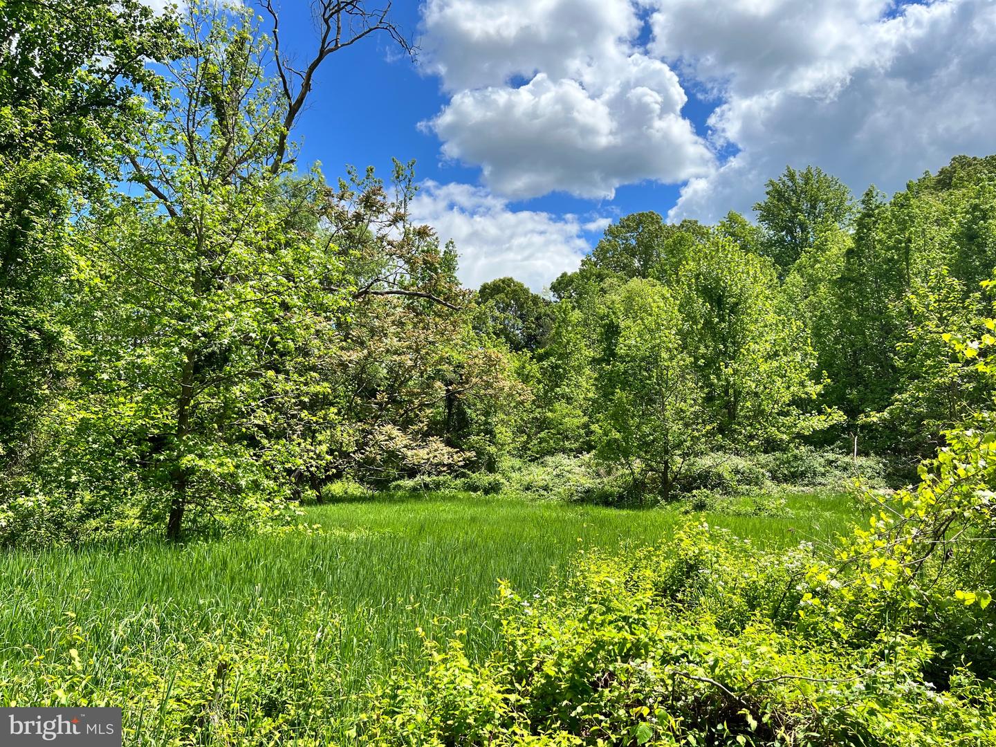OLD COLCHESTER RD, LORTON, Virginia 22079, ,Land,For sale,OLD COLCHESTER RD,VAFX2263404 MLS # VAFX2263404