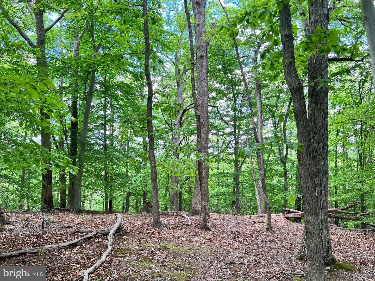 OLD COLCHESTER RD, LORTON, Virginia 22079, ,Land,For sale,OLD COLCHESTER RD,VAFX2263404 MLS # VAFX2263404
