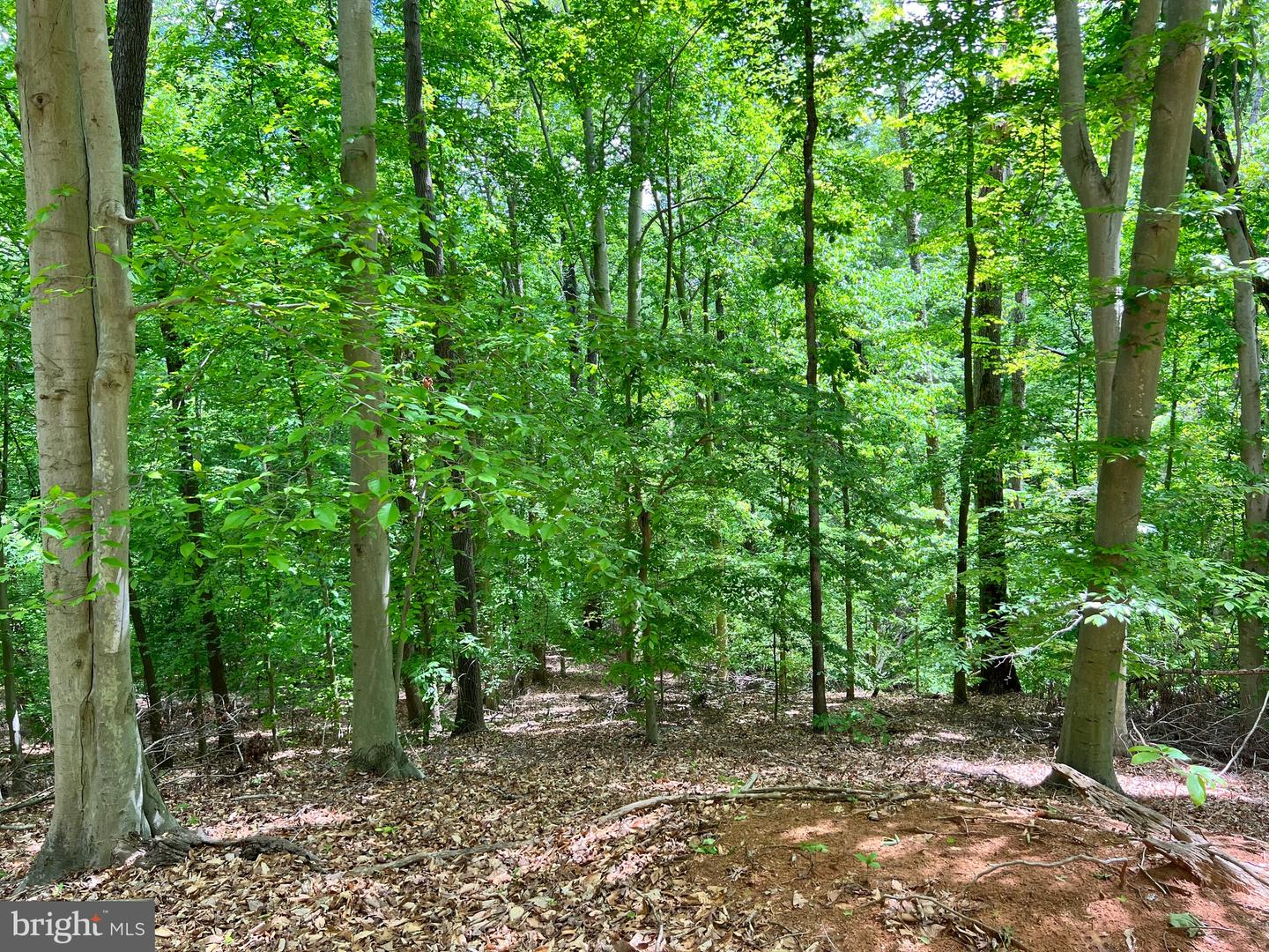 OLD COLCHESTER RD, LORTON, Virginia 22079, ,Land,For sale,OLD COLCHESTER RD,VAFX2263404 MLS # VAFX2263404