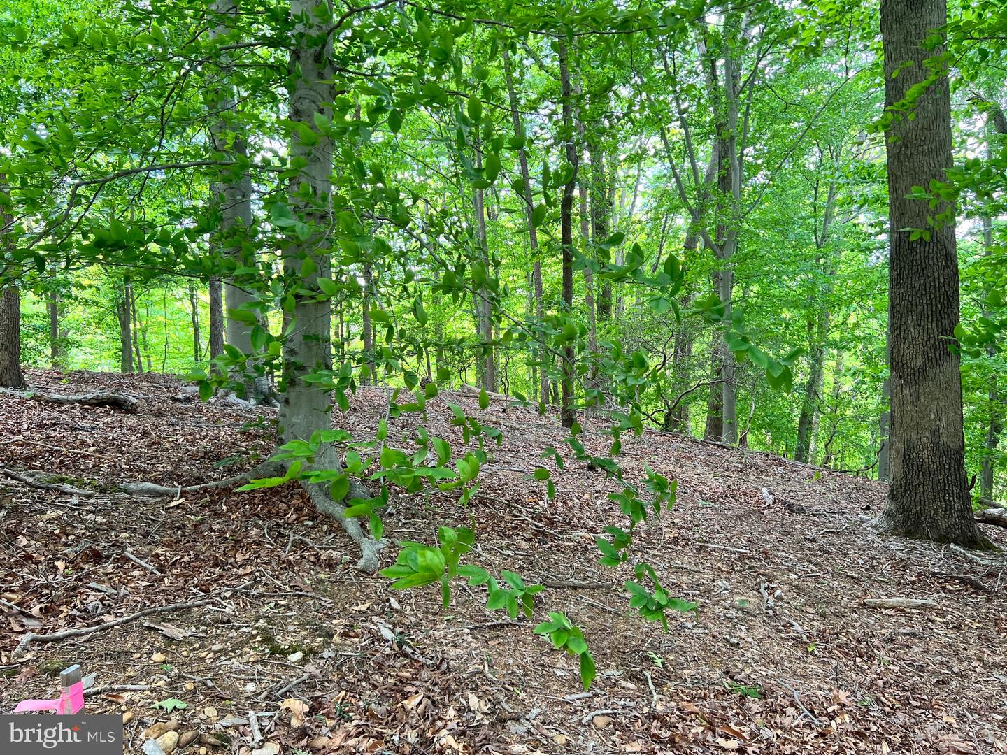 OLD COLCHESTER RD, LORTON, Virginia 22079, ,Land,For sale,OLD COLCHESTER RD,VAFX2263404 MLS # VAFX2263404