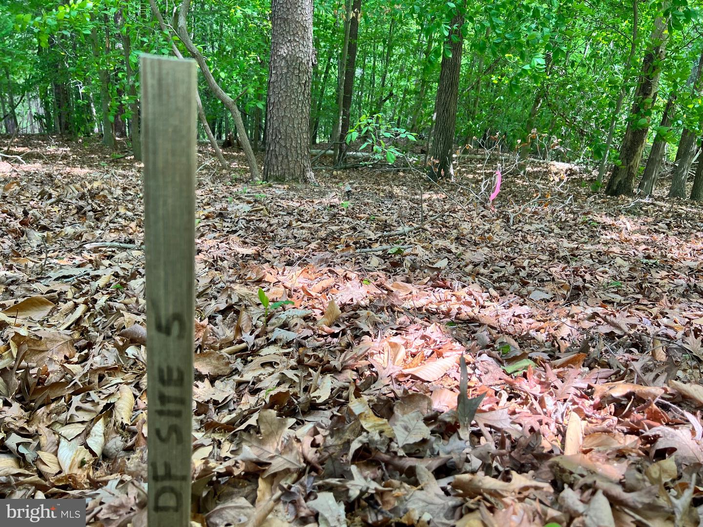 OLD COLCHESTER RD, LORTON, Virginia 22079, ,Land,For sale,OLD COLCHESTER RD,VAFX2263404 MLS # VAFX2263404