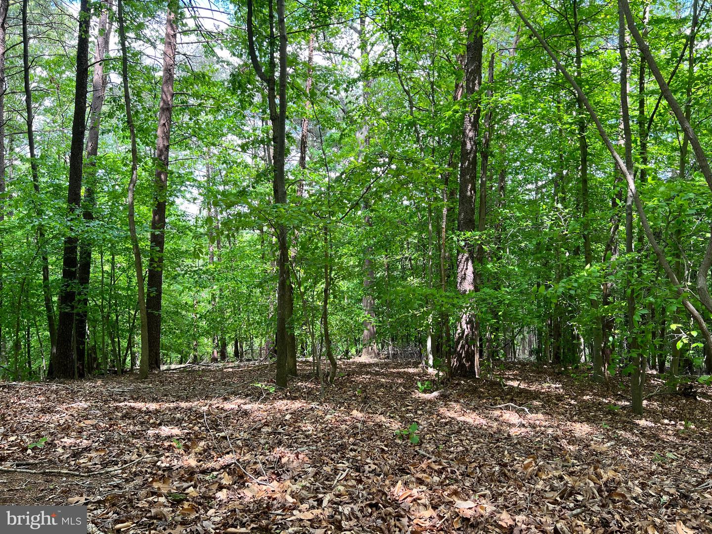 OLD COLCHESTER RD, LORTON, Virginia 22079, ,Land,For sale,OLD COLCHESTER RD,VAFX2263404 MLS # VAFX2263404