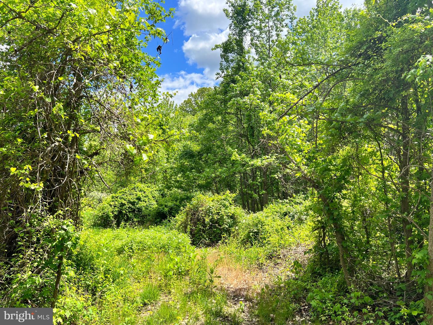 OLD COLCHESTER RD, LORTON, Virginia 22079, ,Land,For sale,OLD COLCHESTER RD,VAFX2263404 MLS # VAFX2263404