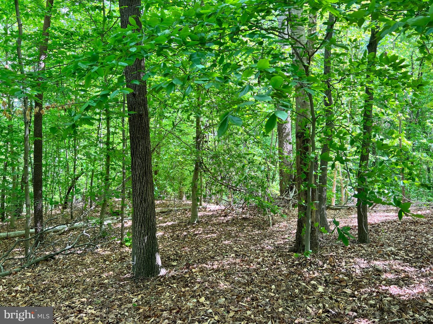 OLD COLCHESTER RD, LORTON, Virginia 22079, ,Land,For sale,OLD COLCHESTER RD,VAFX2263404 MLS # VAFX2263404