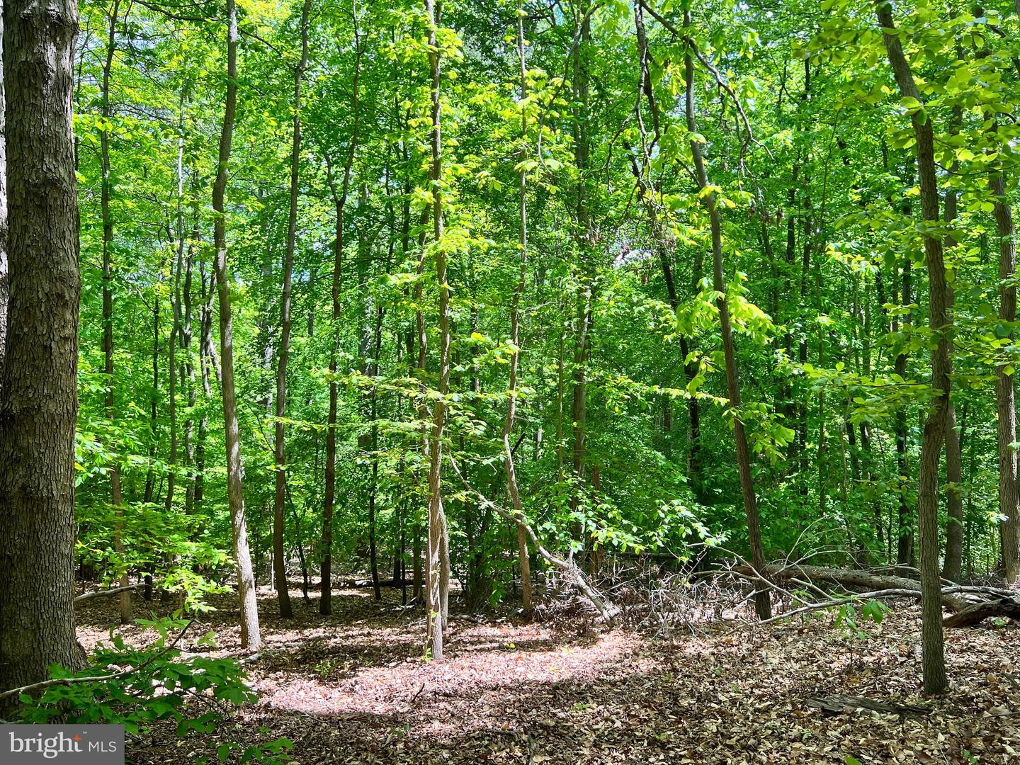 OLD COLCHESTER RD, LORTON, Virginia 22079, ,Land,For sale,OLD COLCHESTER RD,VAFX2263404 MLS # VAFX2263404