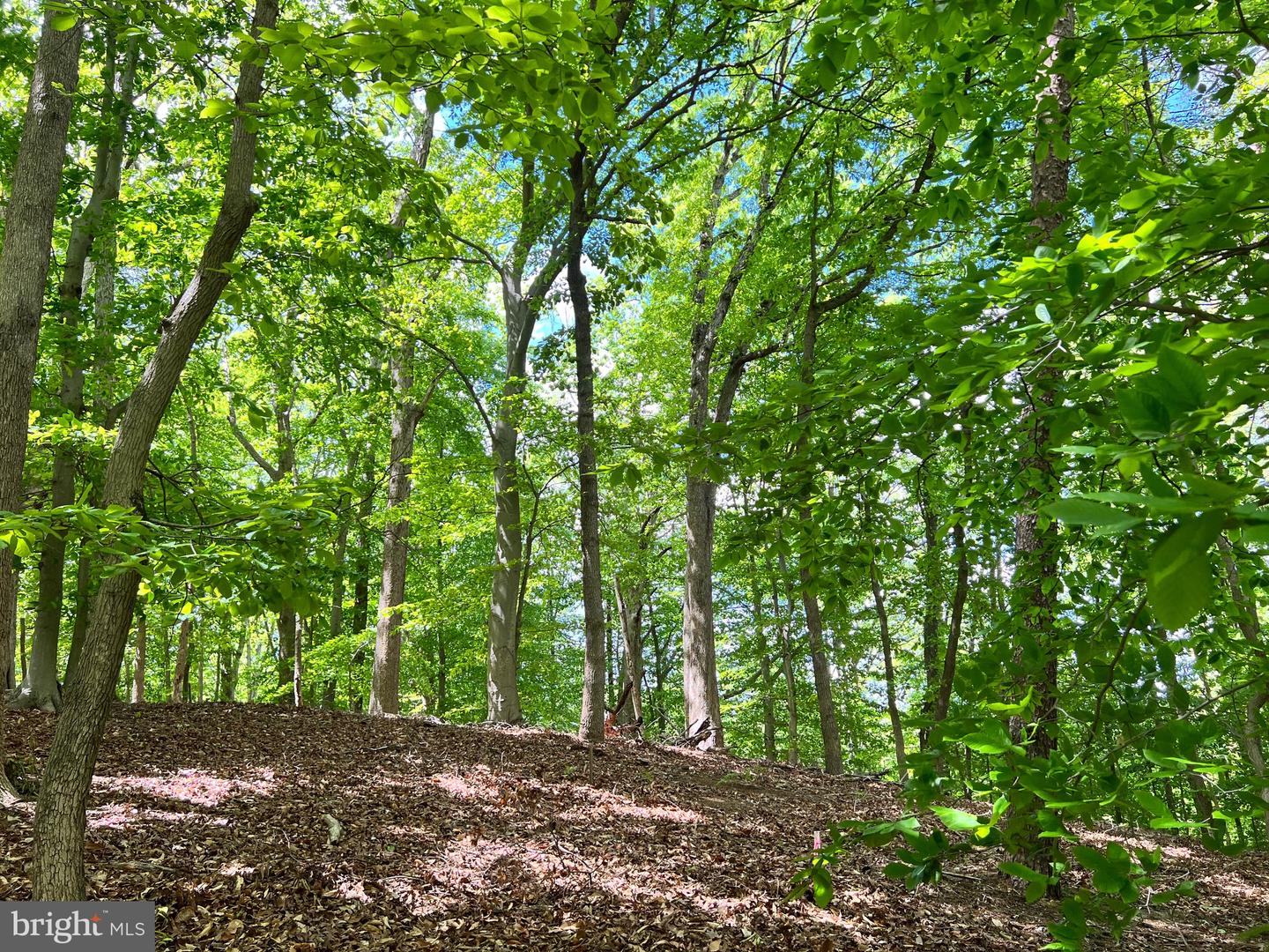 OLD COLCHESTER RD, LORTON, Virginia 22079, ,Land,For sale,OLD COLCHESTER RD,VAFX2263404 MLS # VAFX2263404
