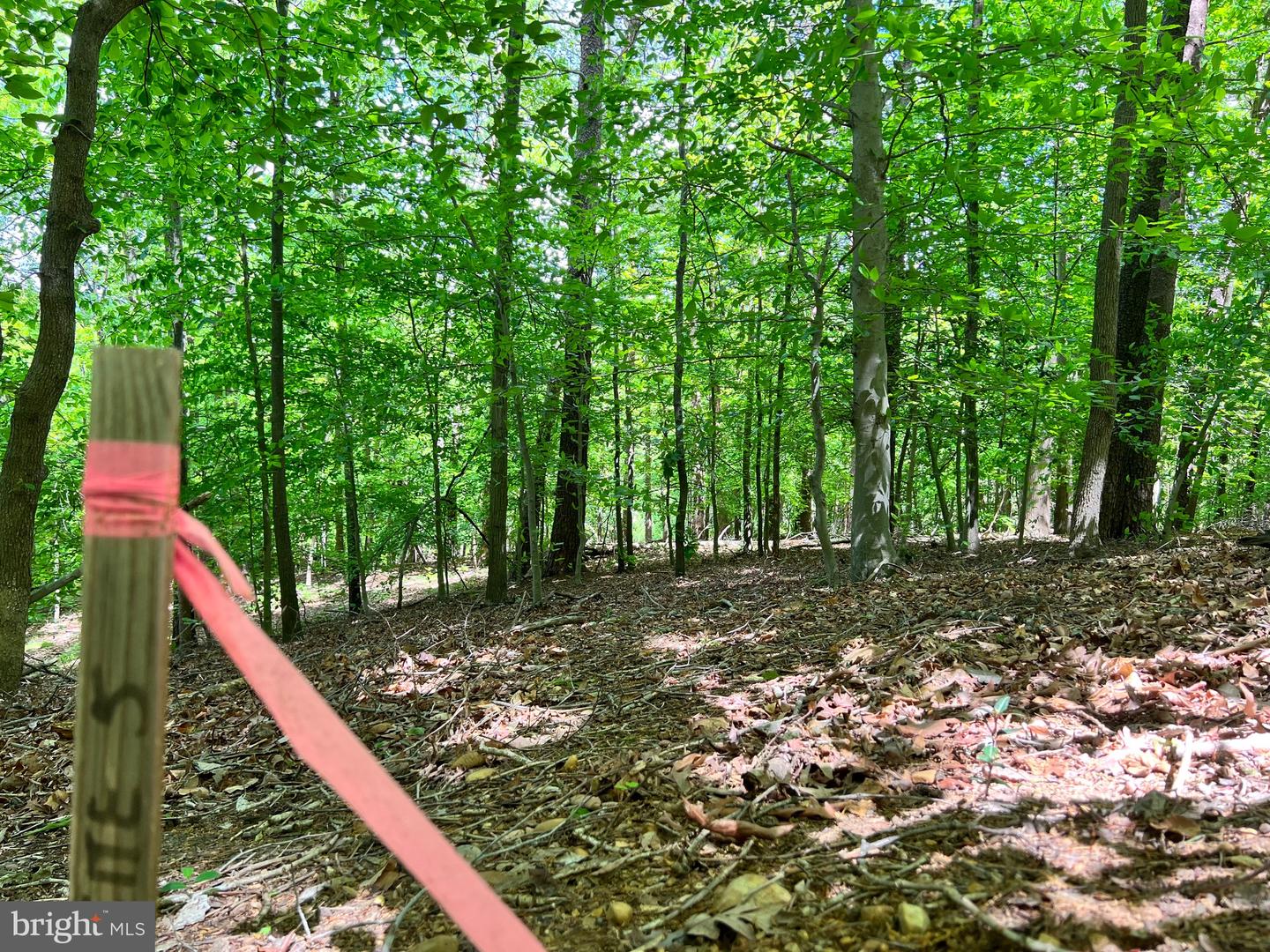 OLD COLCHESTER RD, LORTON, Virginia 22079, ,Land,For sale,OLD COLCHESTER RD,VAFX2263404 MLS # VAFX2263404