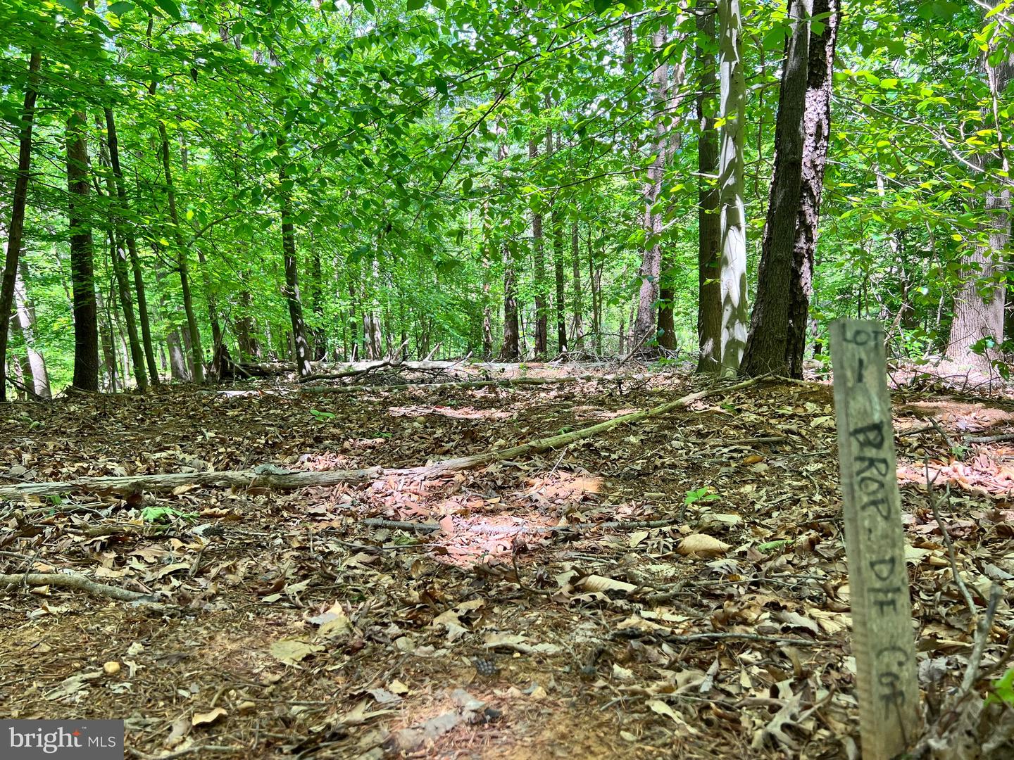 OLD COLCHESTER RD, LORTON, Virginia 22079, ,Land,For sale,OLD COLCHESTER RD,VAFX2263404 MLS # VAFX2263404