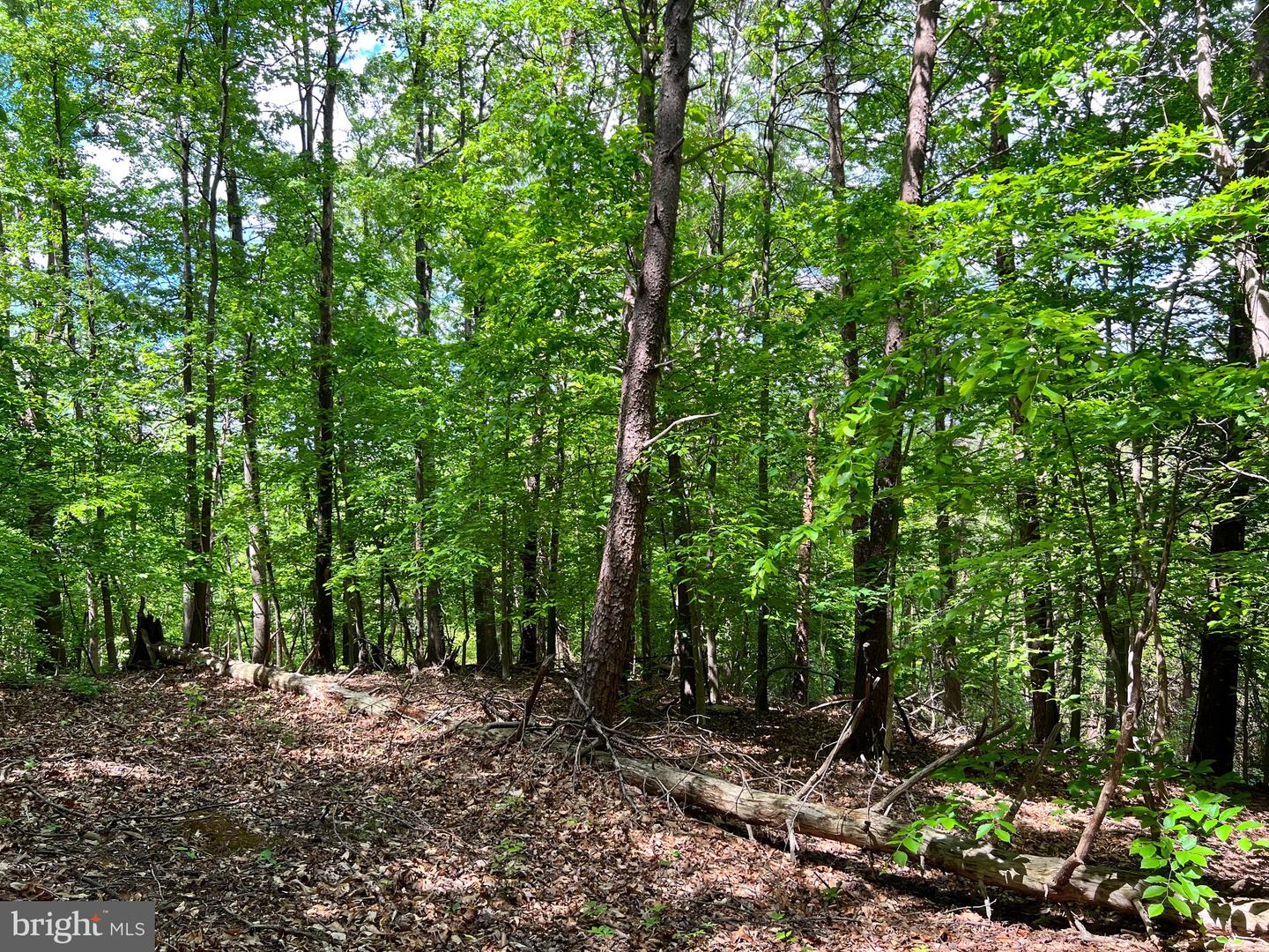 OLD COLCHESTER RD, LORTON, Virginia 22079, ,Land,For sale,OLD COLCHESTER RD,VAFX2263404 MLS # VAFX2263404