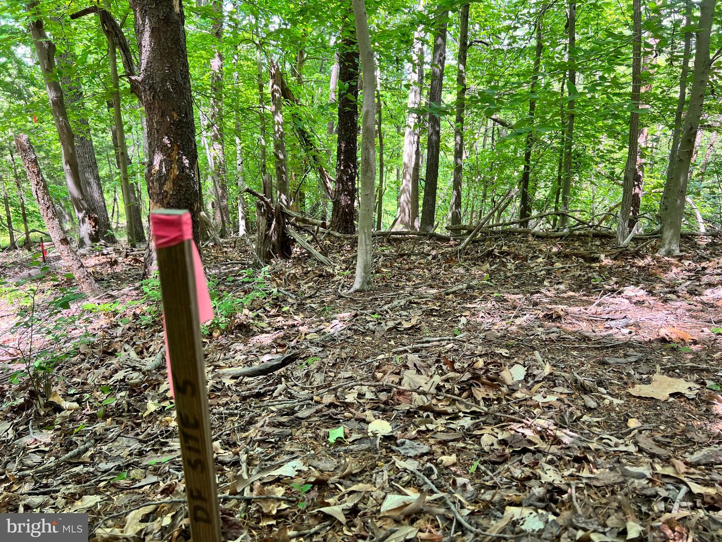 OLD COLCHESTER RD, LORTON, Virginia 22079, ,Land,For sale,OLD COLCHESTER RD,VAFX2263404 MLS # VAFX2263404