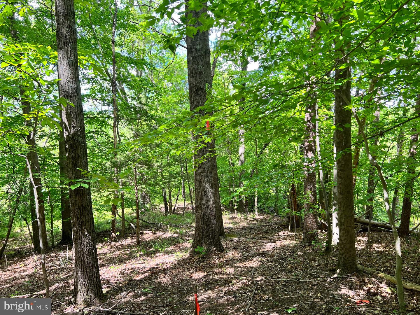 OLD COLCHESTER RD, LORTON, Virginia 22079, ,Land,For sale,OLD COLCHESTER RD,VAFX2263404 MLS # VAFX2263404