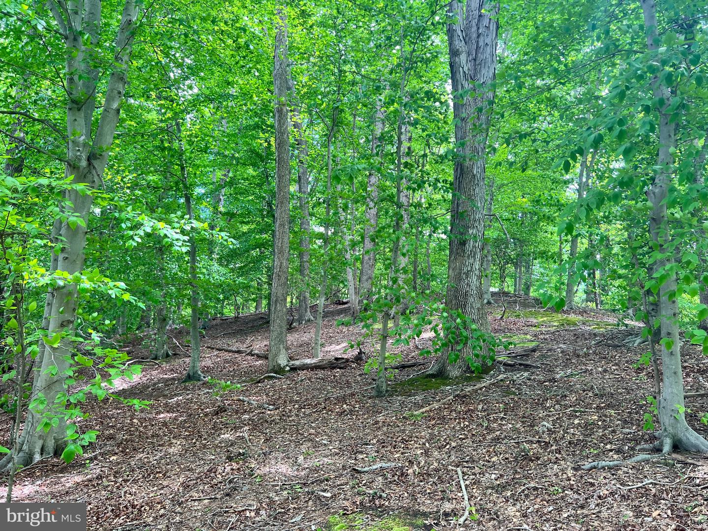 OLD COLCHESTER RD, LORTON, Virginia 22079, ,Land,For sale,OLD COLCHESTER RD,VAFX2263404 MLS # VAFX2263404