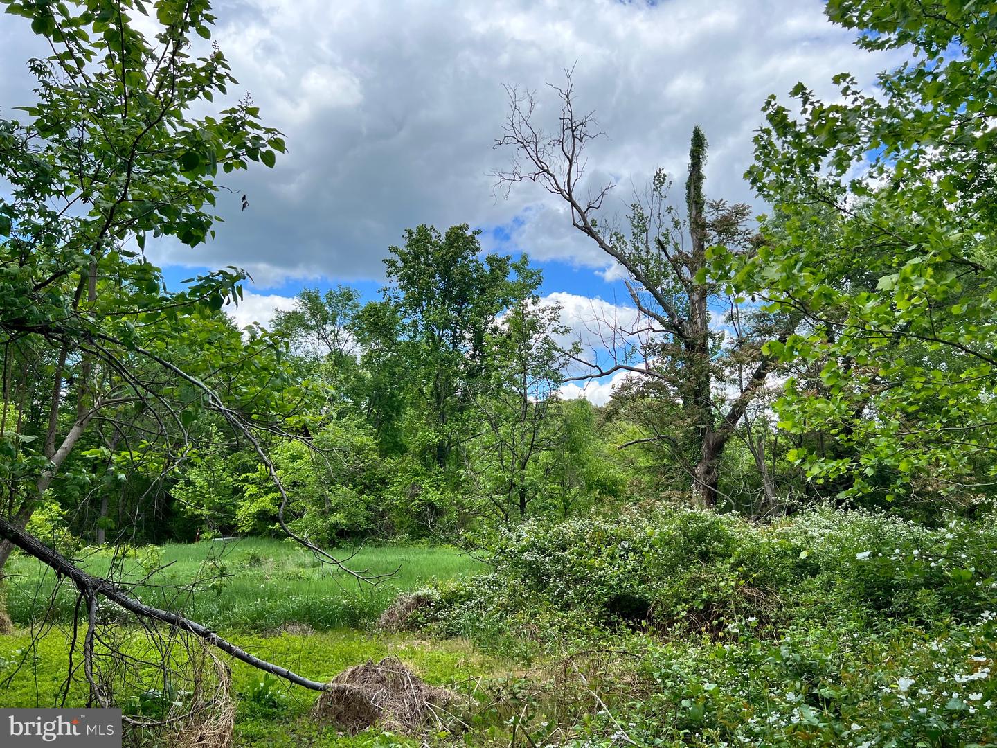 OLD COLCHESTER RD, LORTON, Virginia 22079, ,Land,For sale,OLD COLCHESTER RD,VAFX2263404 MLS # VAFX2263404