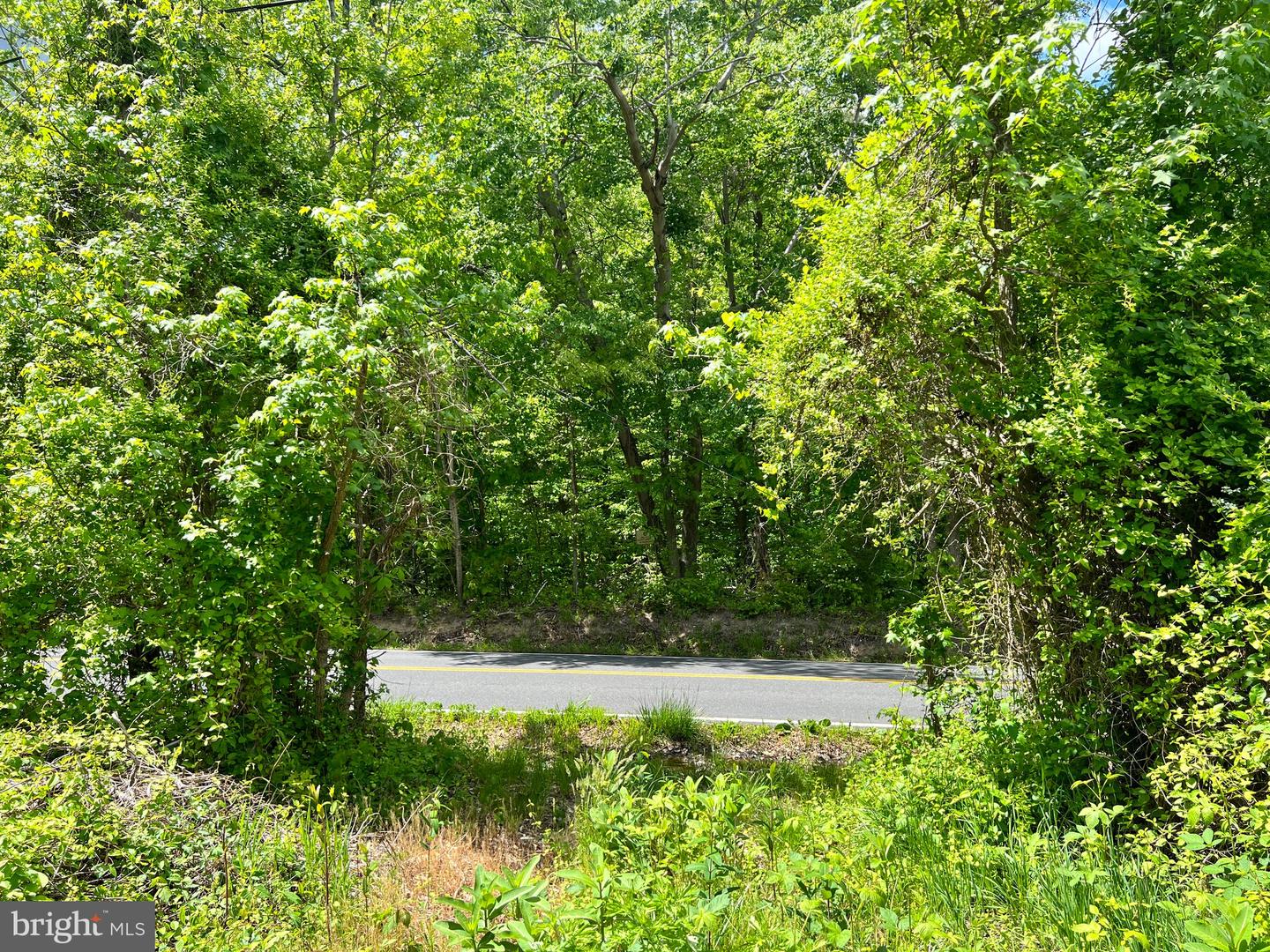 OLD COLCHESTER RD, LORTON, Virginia 22079, ,Land,For sale,OLD COLCHESTER RD,VAFX2263404 MLS # VAFX2263404