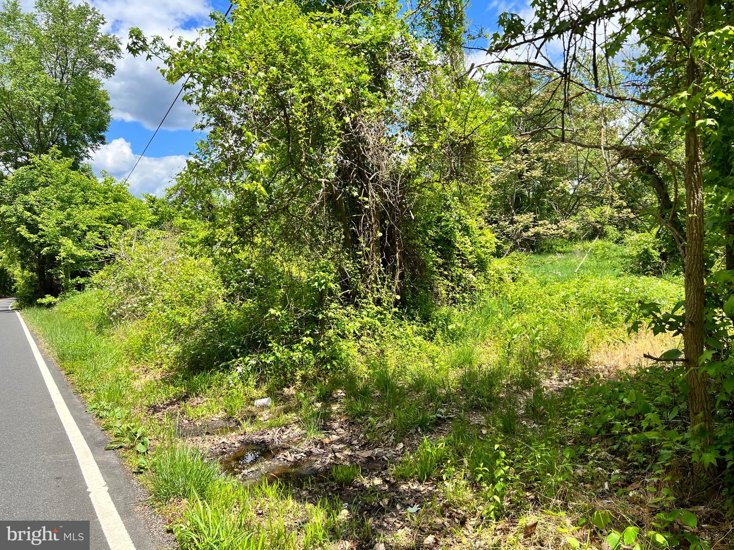OLD COLCHESTER RD, LORTON, Virginia 22079, ,Land,For sale,OLD COLCHESTER RD,VAFX2263404 MLS # VAFX2263404