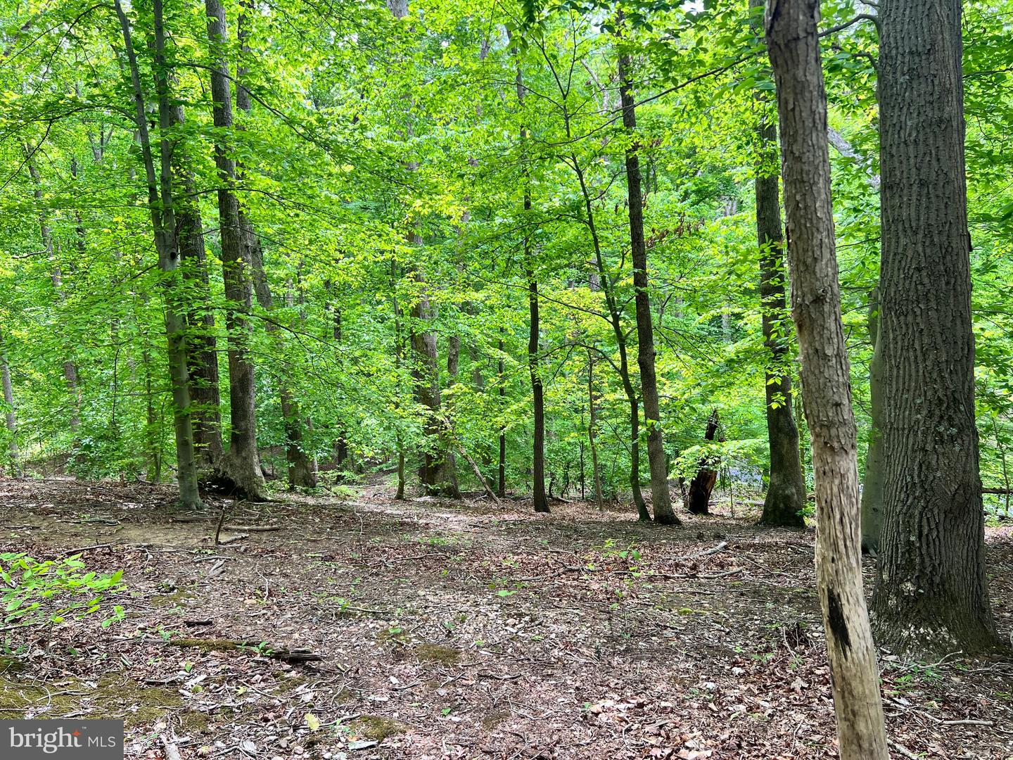 OLD COLCHESTER RD, LORTON, Virginia 22079, ,Land,For sale,OLD COLCHESTER RD,VAFX2263404 MLS # VAFX2263404