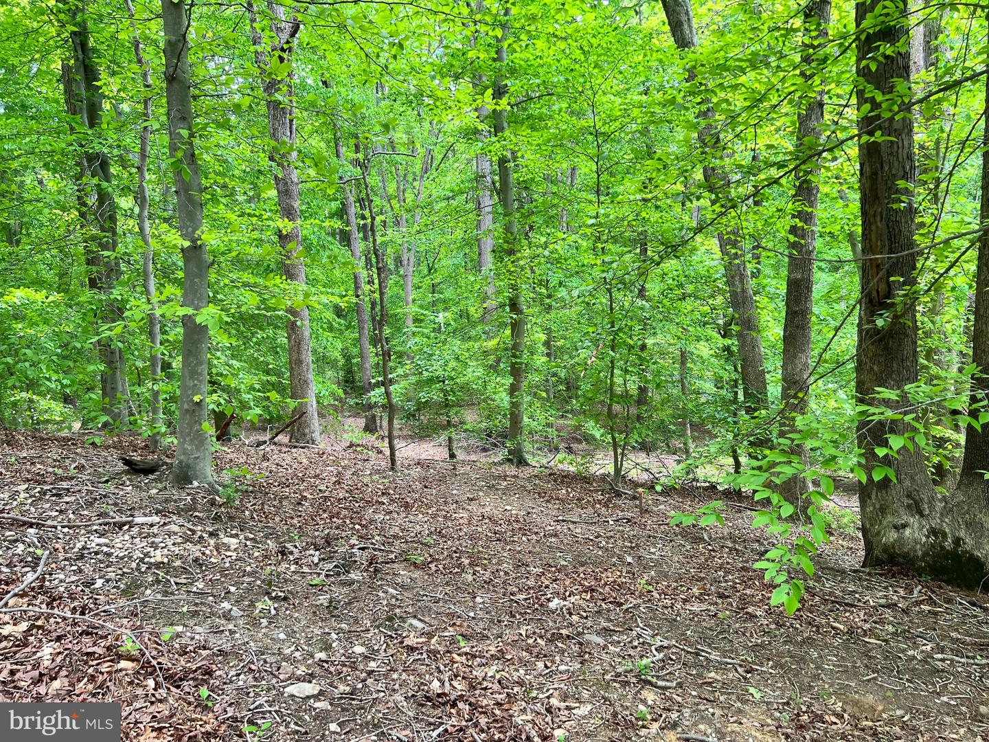 OLD COLCHESTER RD, LORTON, Virginia 22079, ,Land,For sale,OLD COLCHESTER RD,VAFX2263404 MLS # VAFX2263404