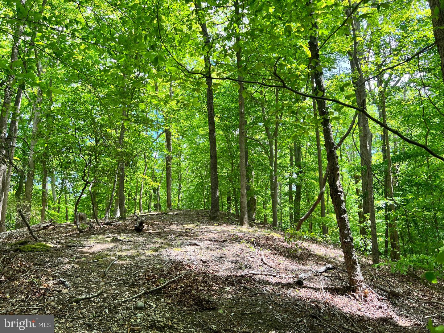 OLD COLCHESTER RD, LORTON, Virginia 22079, ,Land,For sale,OLD COLCHESTER RD,VAFX2263404 MLS # VAFX2263404