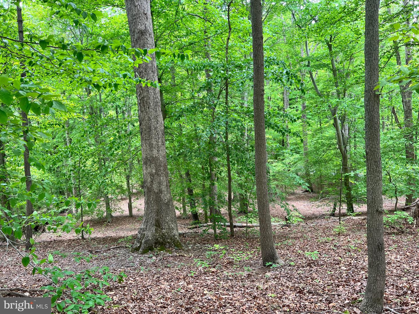 OLD COLCHESTER RD, LORTON, Virginia 22079, ,Land,For sale,OLD COLCHESTER RD,VAFX2263404 MLS # VAFX2263404