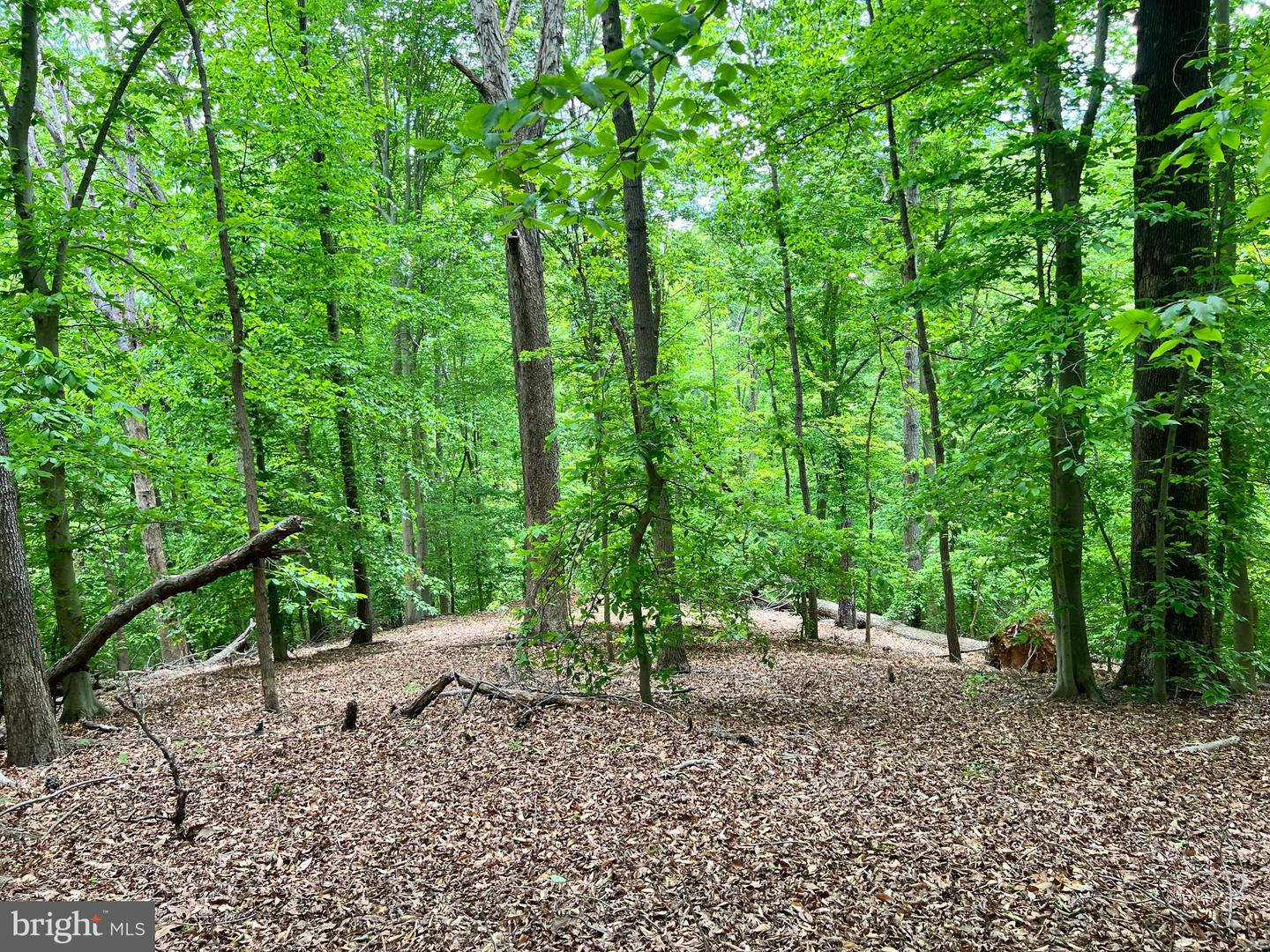 OLD COLCHESTER RD, LORTON, Virginia 22079, ,Land,For sale,OLD COLCHESTER RD,VAFX2263404 MLS # VAFX2263404