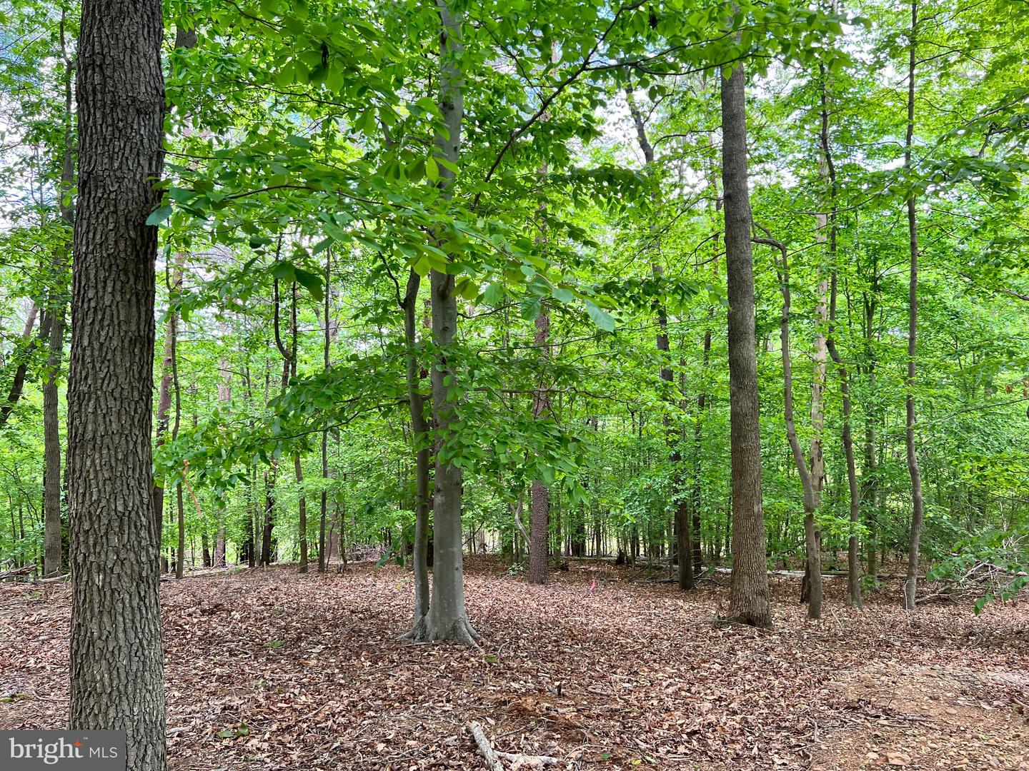 OLD COLCHESTER RD, LORTON, Virginia 22079, ,Land,For sale,OLD COLCHESTER RD,VAFX2263404 MLS # VAFX2263404