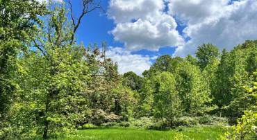 OLD COLCHESTER RD, LORTON, Virginia 22079, ,Land,For sale,OLD COLCHESTER RD,VAFX2263404 MLS # VAFX2263404