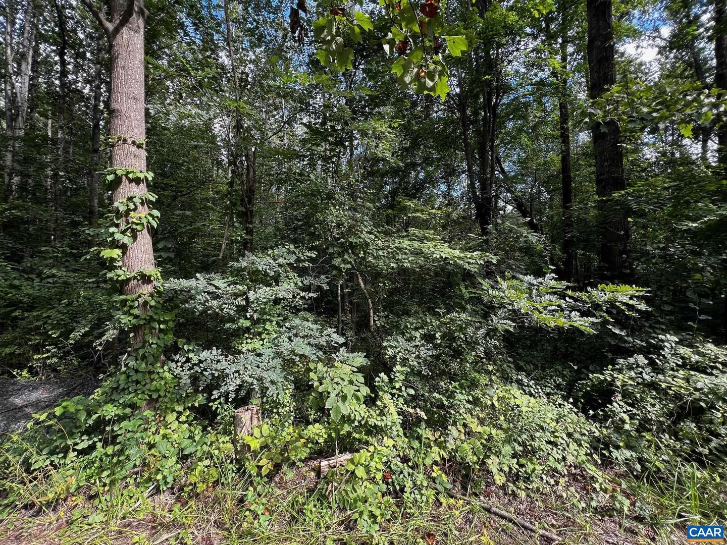 TBD S GREENE ACRES RD, STANARDSVILLE, Virginia 22973, ,Land,For sale,TBD S GREENE ACRES RD,668264 MLS # 668264