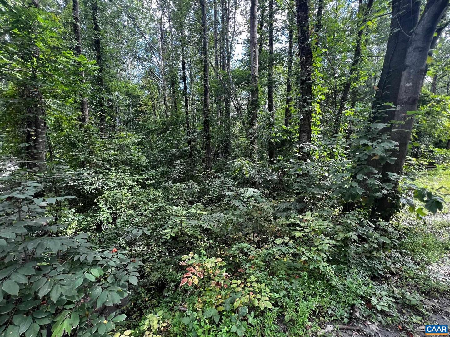 TBD S GREENE ACRES RD, STANARDSVILLE, Virginia 22973, ,Land,For sale,TBD S GREENE ACRES RD,668264 MLS # 668264