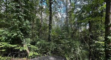 TBD S GREENE ACRES RD, STANARDSVILLE, Virginia 22973, ,Land,For sale,TBD S GREENE ACRES RD,668264 MLS # 668264