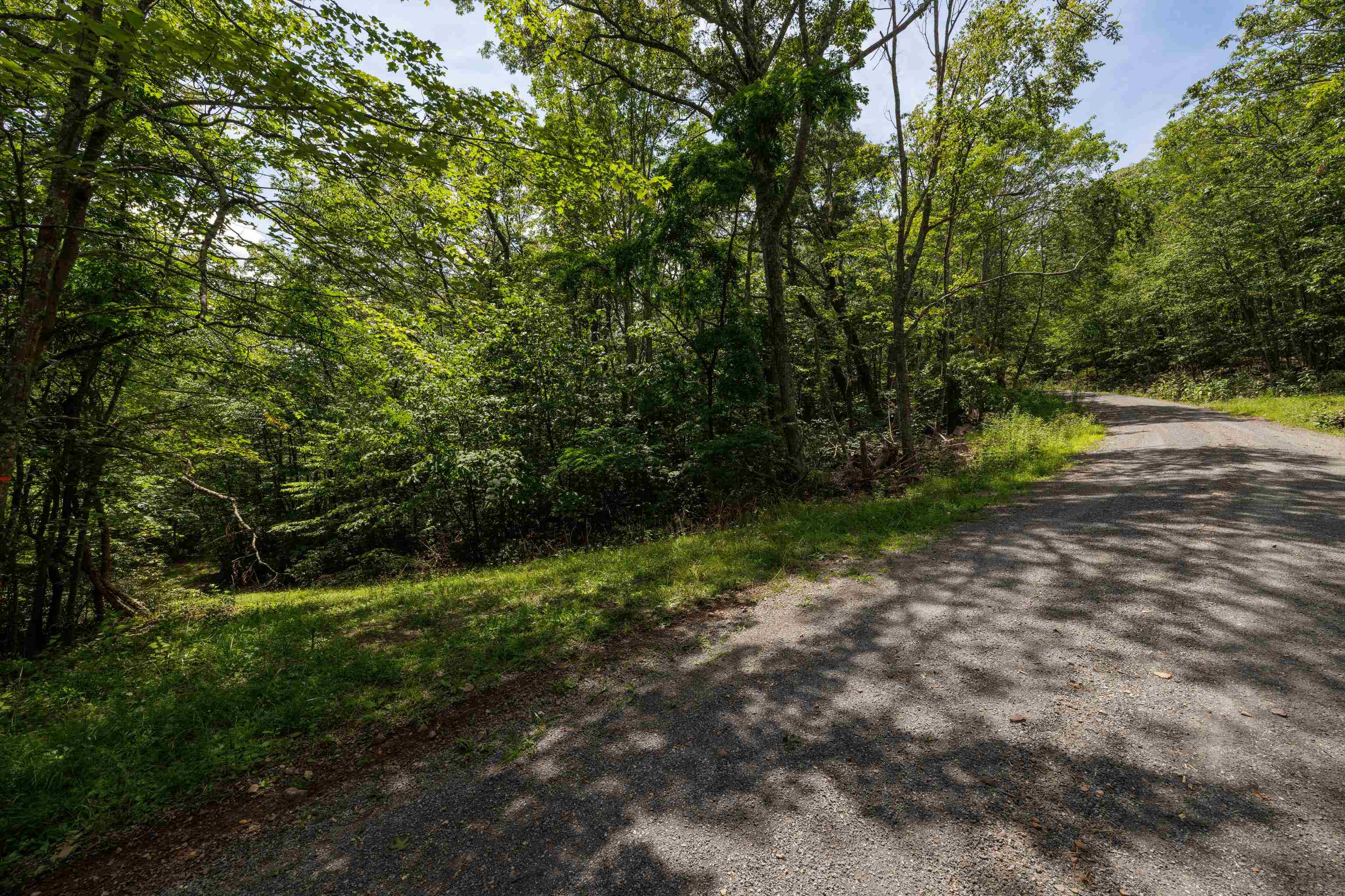 TBD HIGH VALLEY SOUTH, MONTEREY, Virginia 24465, ,Land,TBD HIGH VALLEY SOUTH,668267 MLS # 668267